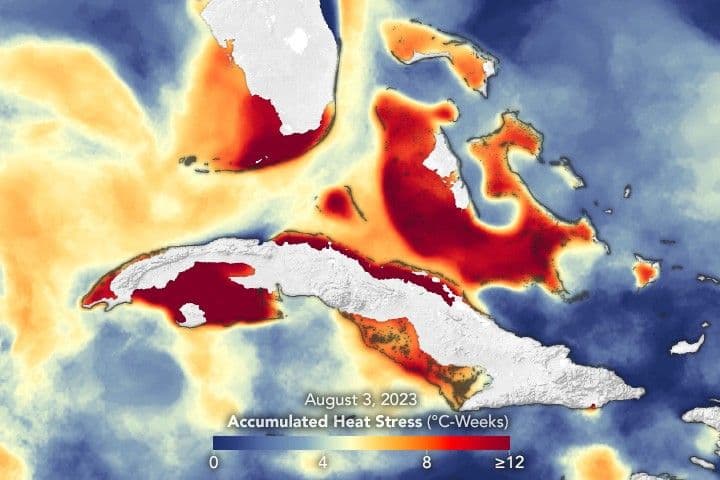Stressful Summer for Coral Reefs