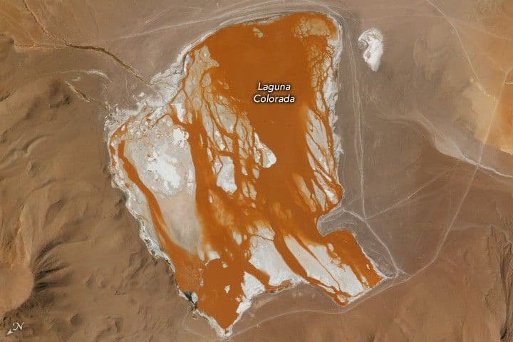 Life Blood of Earth