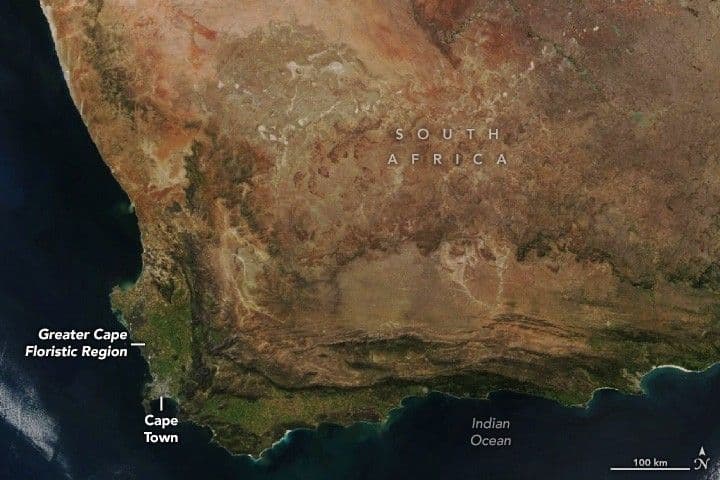 South Africa’s Greater Cape Floristic Region