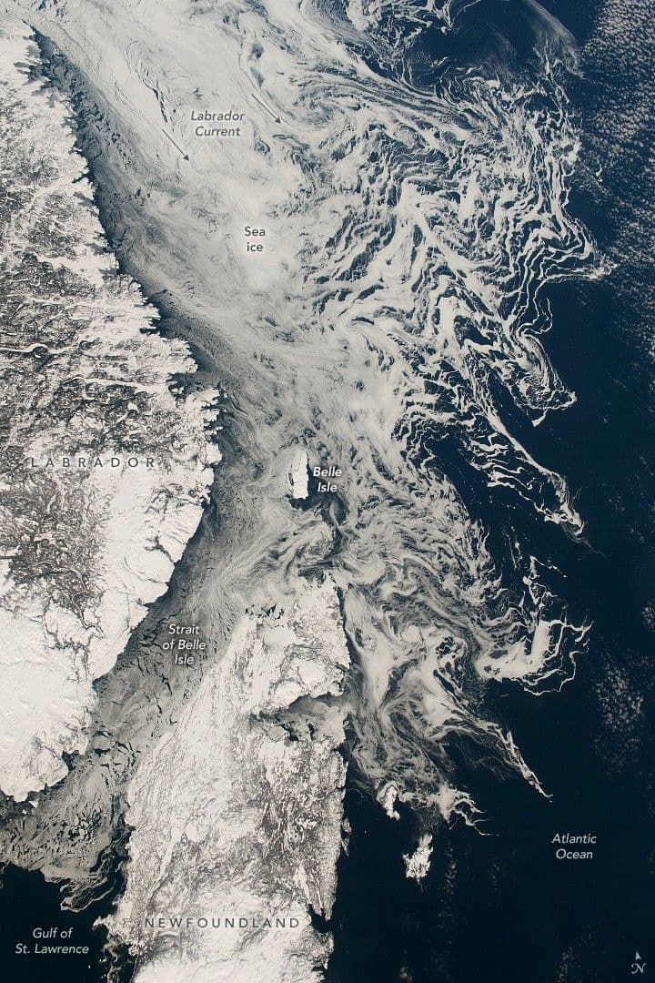 Sea Ice Delivery from the Arctic Circle