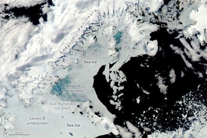 Sea Ice Blues off the Antarctic Peninsula