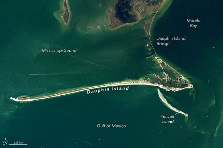 Dynamic Dauphin Island