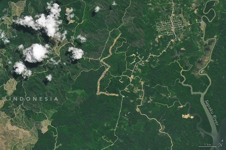Nusantara: A New Capital City in the Forest