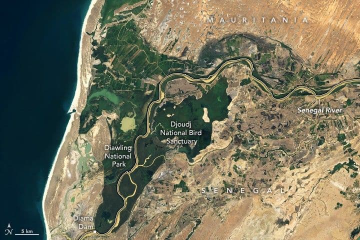 An Oasis of Green in Senegal