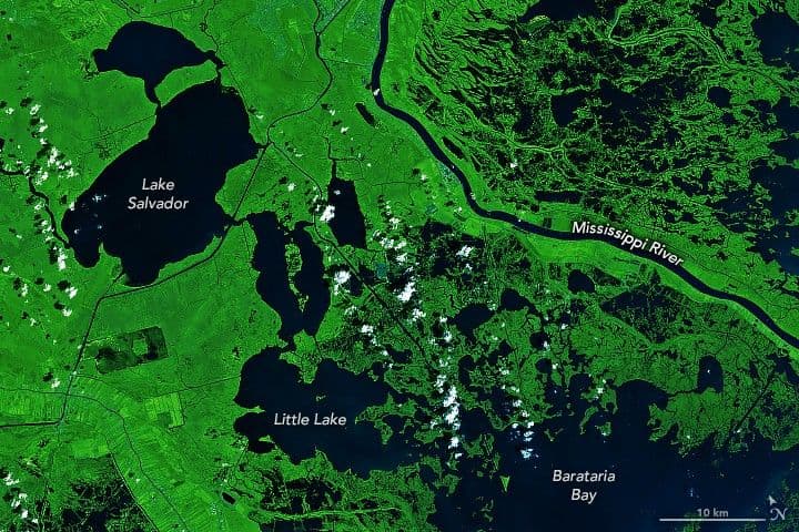 Hurricanes Have Left Their Mark on Louisiana’s Wetlands