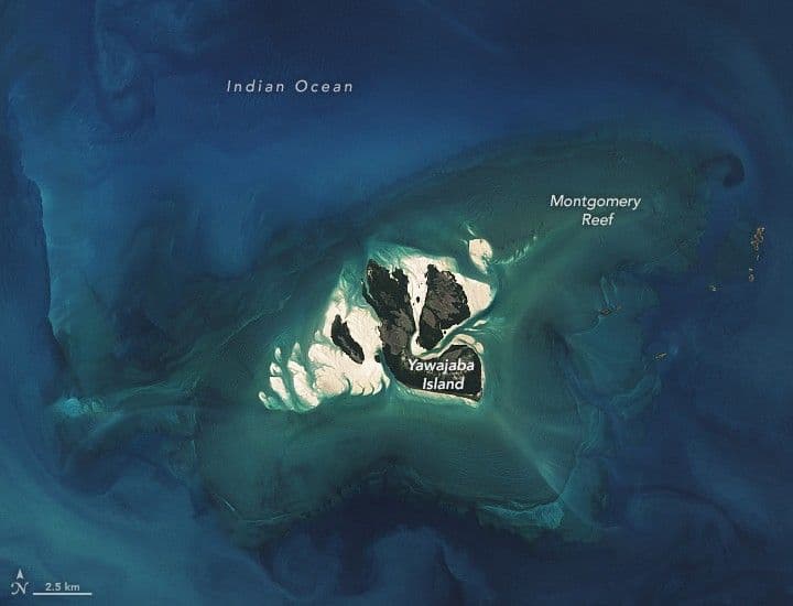 Montgomery Reef Revealed