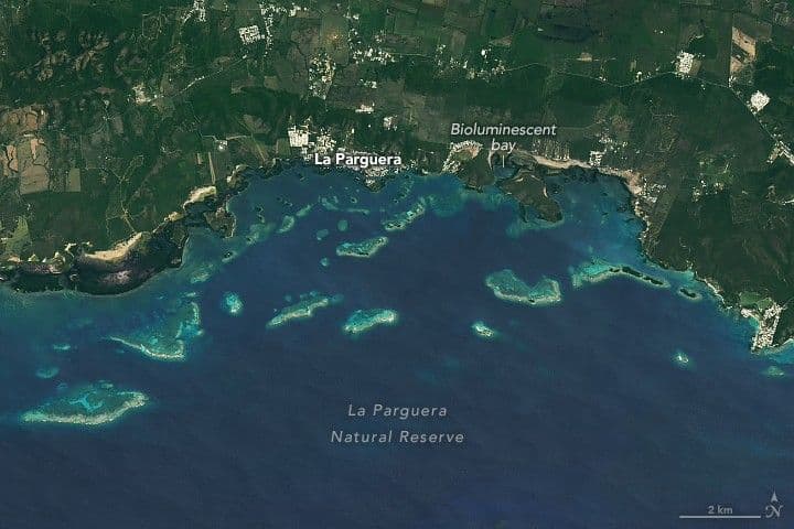 Reefs of La Parguera