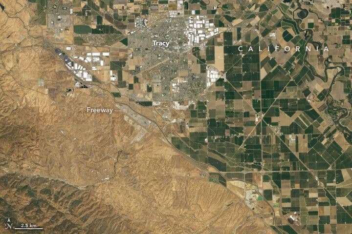 Grass Fire Chars California