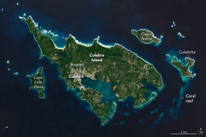 Culebra’s Coral Reefs
