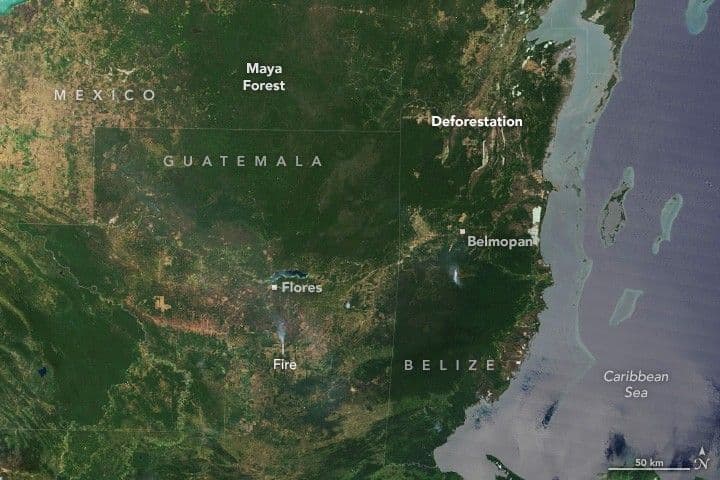 The Shrinking Selva Maya