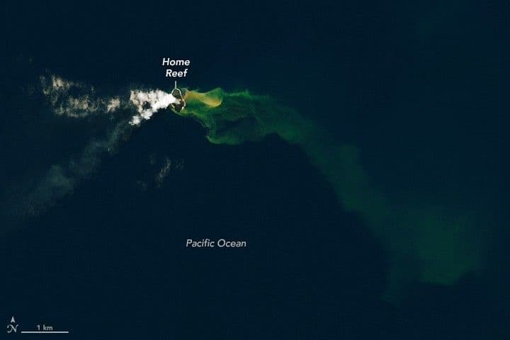 Home Reef Volcano Grows