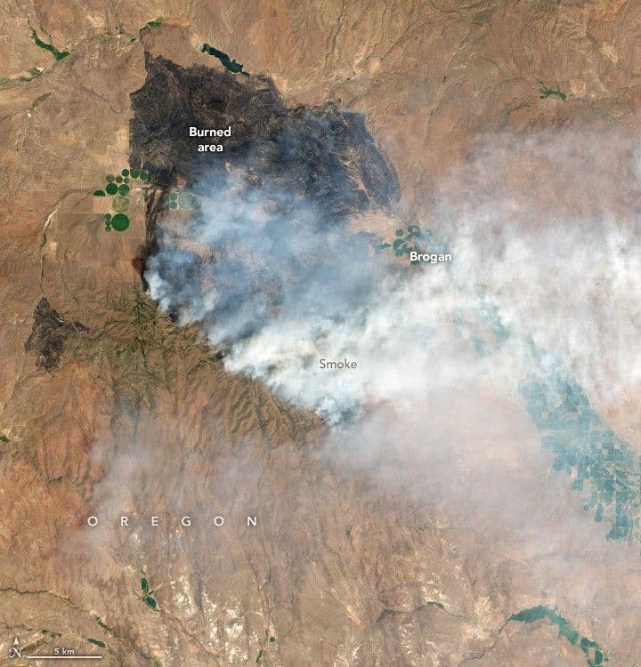 Wildfire Scorches Eastern Oregon
