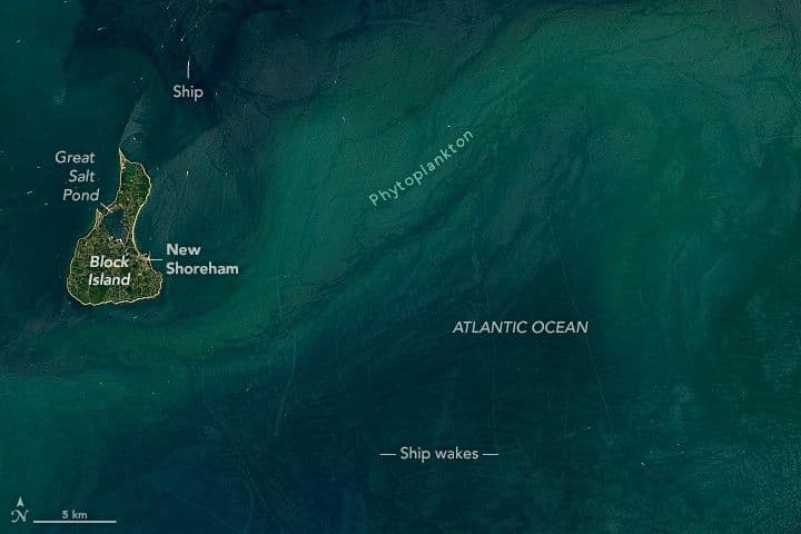 A Piece of Rhode Island in the Atlantic