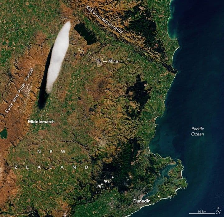 Marvelous Lenticularis