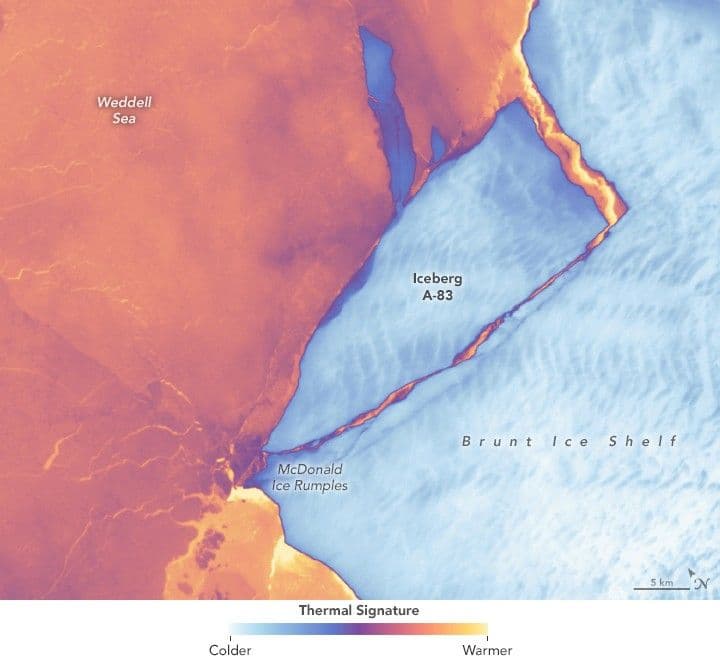 A Winter Wanderer in the Weddell Sea