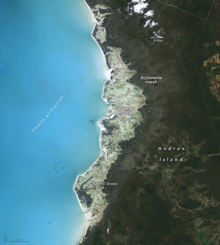 Signs of Sea Level Rise in the Bahamas
