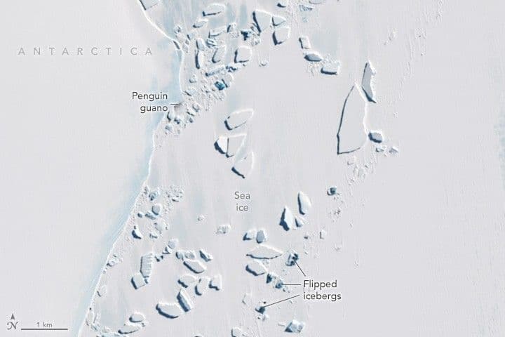 Antarctic Icebergs Show Their Colorful Undersides