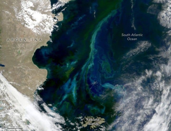 Patagonian Shelf Waters Abloom