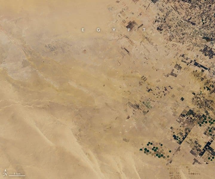 A “New Delta” in the Desert