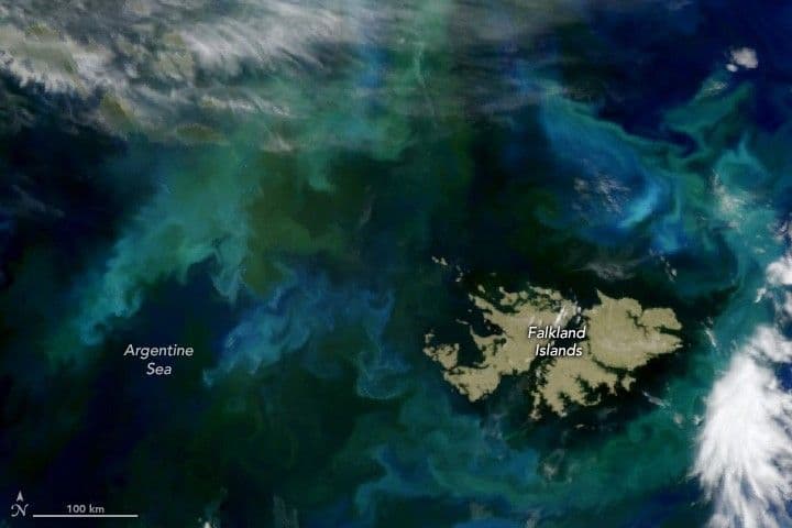 Phytoplankton Flourish in Patagonian Waters