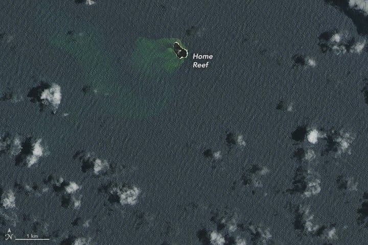 A Growth Spurt for Home Reef