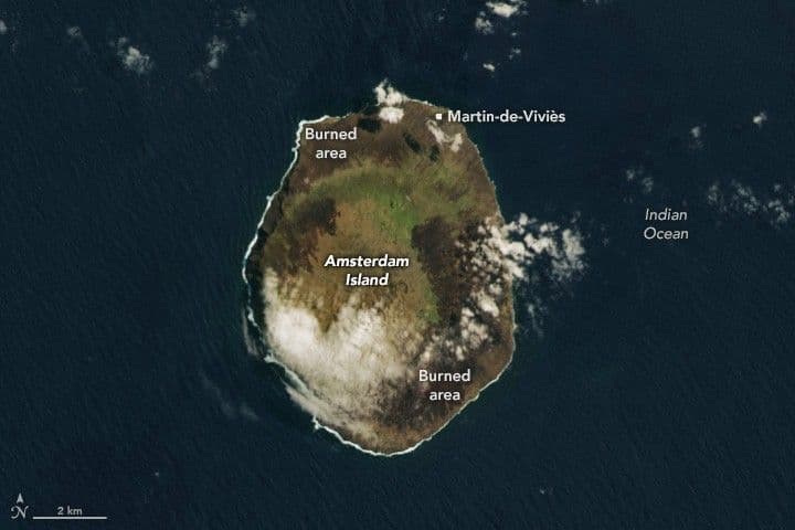 Large Fire Footprint on Faraway Amsterdam Island