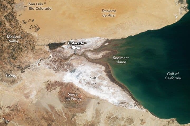 Baja California’s Arid Delta