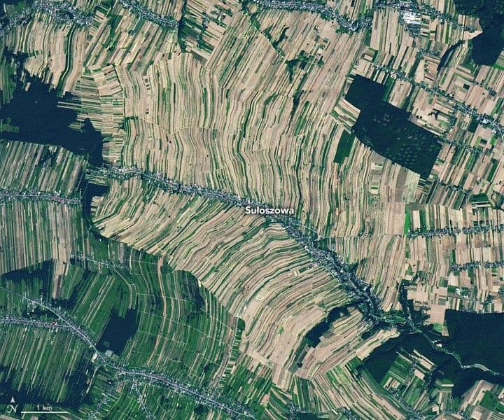 Farming on the Straight, Curved, and Narrow
