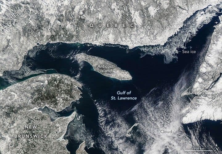 Low Ice in the Gulf of St. Lawrence