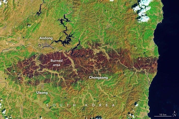 South Korea Charred by Fire