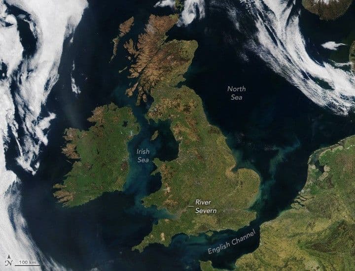 Blooming British Isles