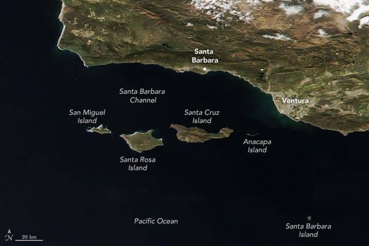 North America’s “Galapagos”