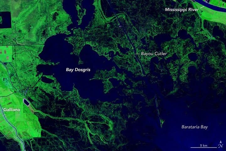 Forty Years of Change in Louisiana’s Wetlands