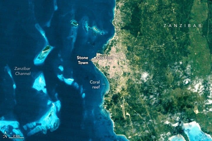 Digging Into the History of Stone Town