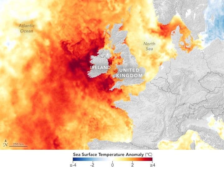 Record Heat in Northwest European Waters