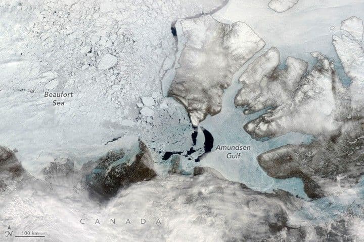 Seasonal Breakup in the Amundsen Gulf