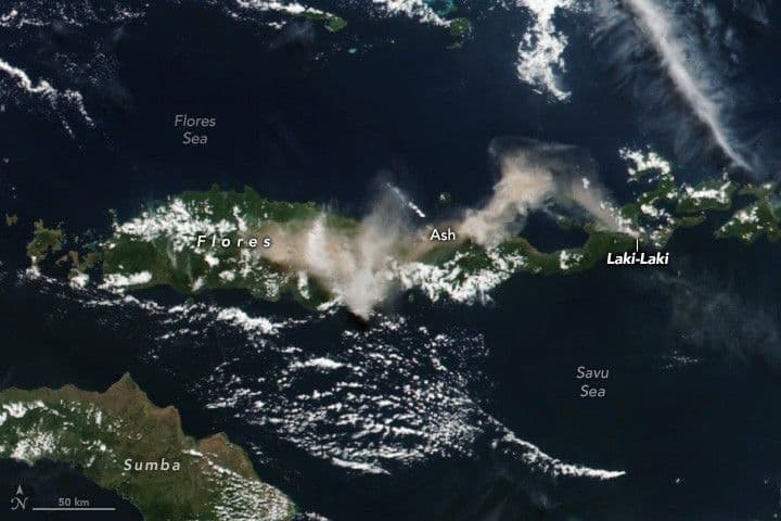 Towering Plume From Mount Lewotobi Laki-Laki