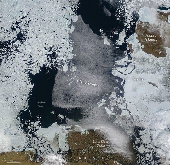 Cloud Streets Over the Laptev Sea