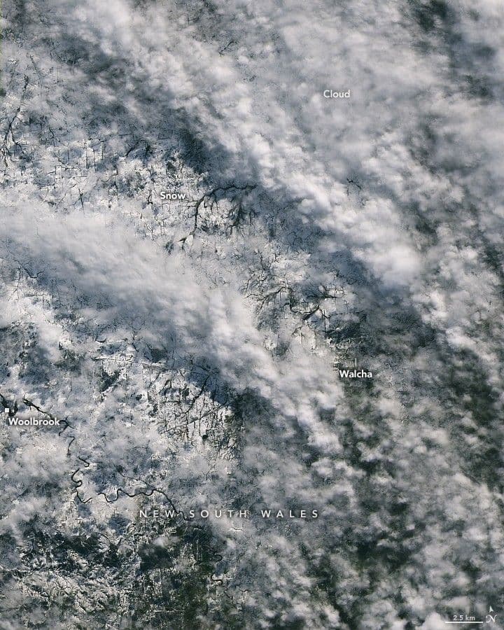 Fleeting Glimpse of Rare Snow
