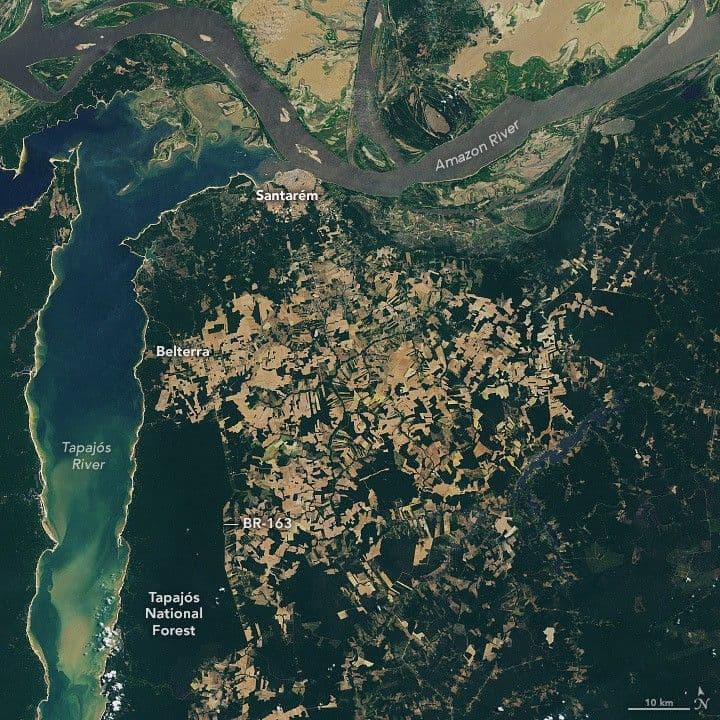 From Forest to Field in Pará