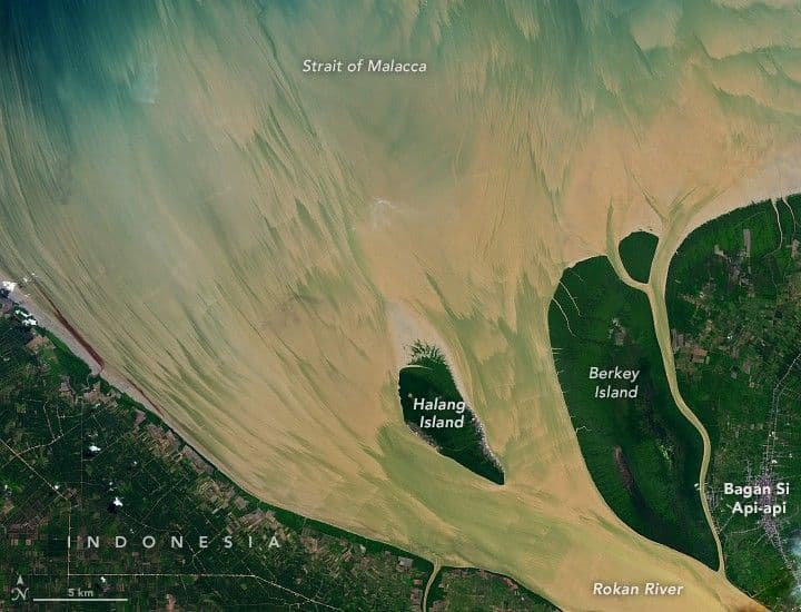 Rokan River Painted by the Tides