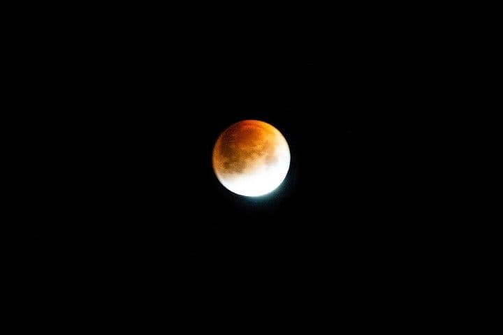 By the Warm Light of the Moon
