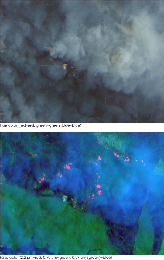 High-Resolution View of Fires and Smoke near Sydney, Australia