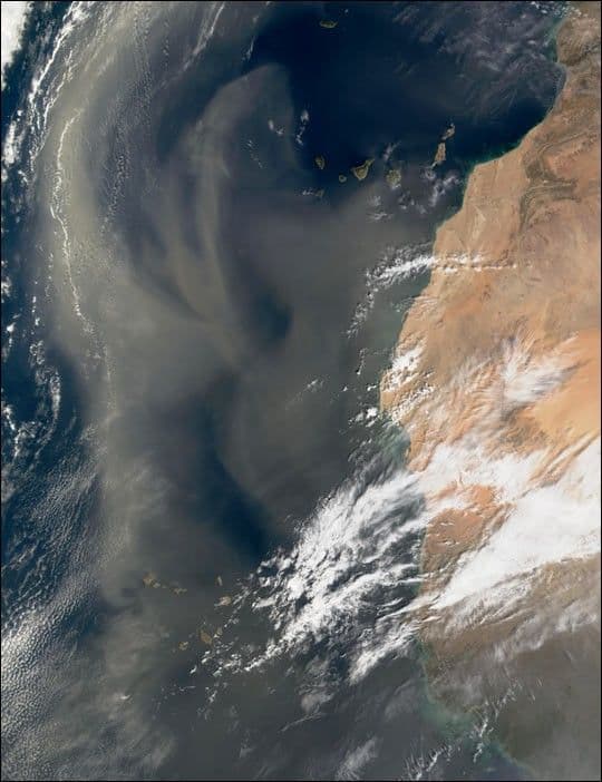 Saharan Dust over the Atlantic