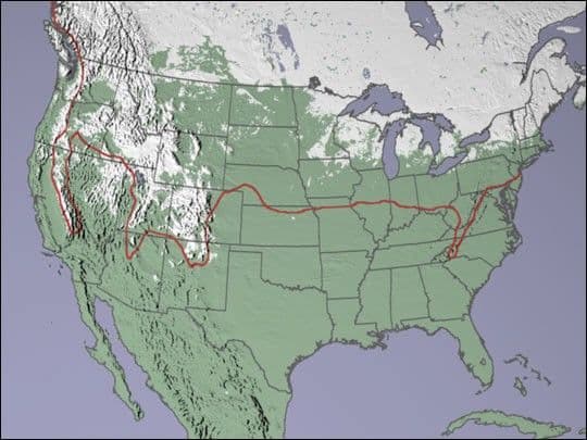 Unusually Low Snow Cover in the U.S.
