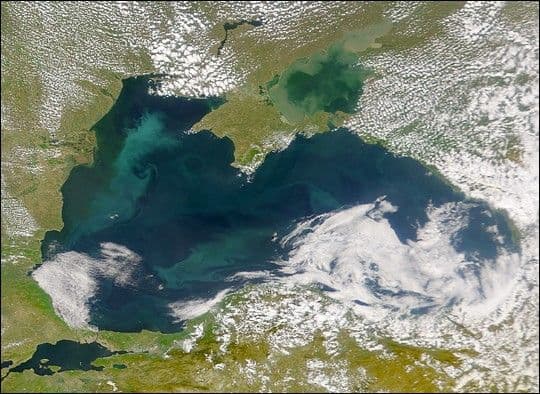 Black Sea in Bloom