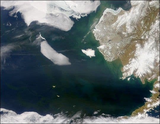 Bering Sea in Bloom