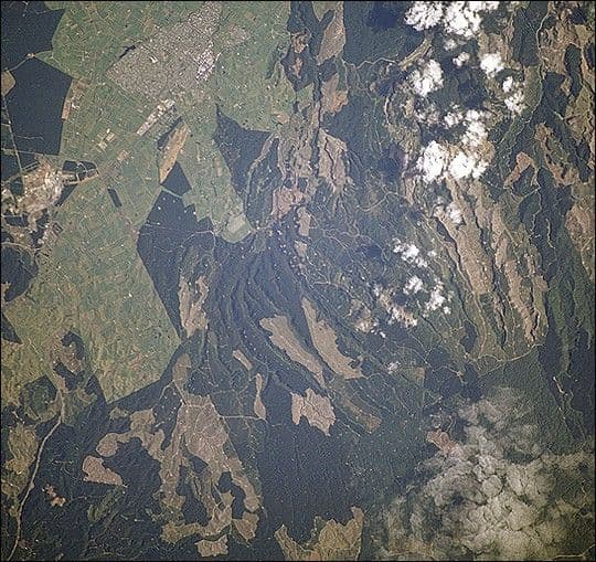 Plantation forestry harvesting near Tokoroa , New Zealand