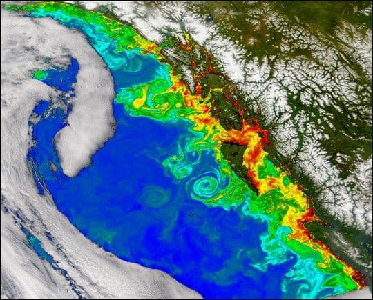 Eddies off the Queen Charlotte Islands