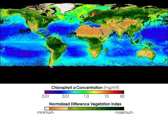 The Earth’s Biosphere